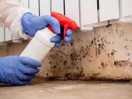 La Vale, MD Mold Remediation Company